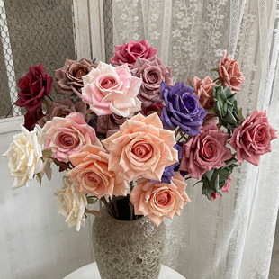 �߼��ͮ�3�^�������Zõ���̲�ɫ���滨�Ҿ��b�Y�廨���յ���