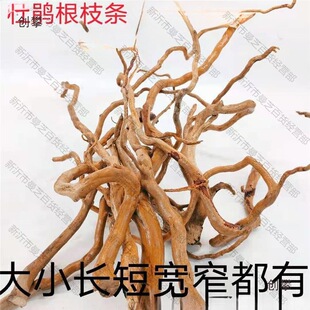 ���N��֦�lˮ ��ľ횸���֦�����ט�֦΢���^�쾰�ٗl��횉�����