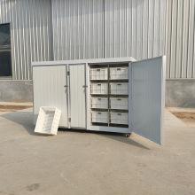 SѿCOS öѿC׃r ѭhaļɳ