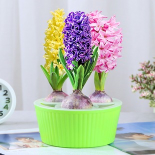 �ذ�ˮ�B�L����ˮ�ɷN���ļ��׻������ˮ��ֲ���҃��⻨�ܷN��