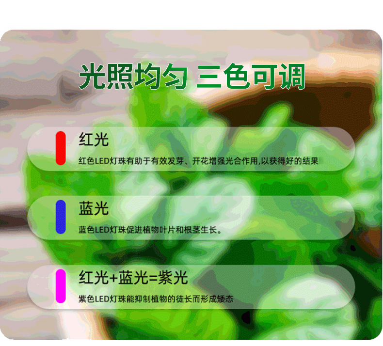 O1CN01aaVX0G1LJMzpku1Yn_!!2215496801278-0-cib.jpg?__r__=1679454448405