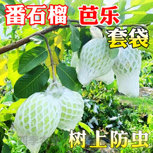 ��ʯ���״��W���Ř��״�ˮ�����x���o�������״�ʯ��W�׹������]