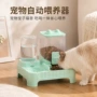 自动饮水双碗喂食器猫粮
