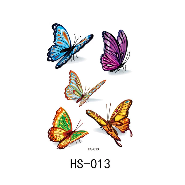 HS-013-105*148mm