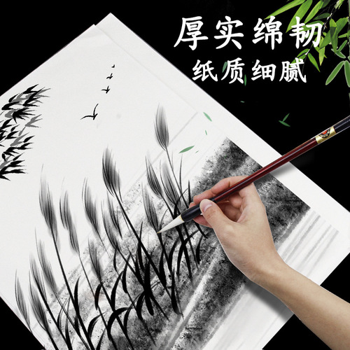 Malì Xuan Paper 8K Raw and Glazed Calligraphy and Painting Paper for Beginners, 4K Art and Painting Paper for Works, Z53108
