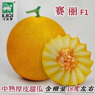 ������ِ����ϷN�Ӻ�Ƥ��ϷN�Ӹ��ǈA���ͽ��SƤ�S�������ϷN