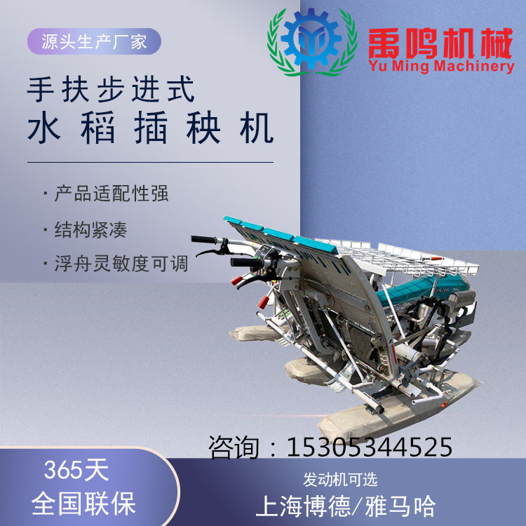 厂家自走式手扶式水稻秧苗种植机 水稻插秧机 四行六行小型栽苗机