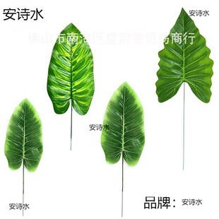 �羳�����~�����˽� ����廨���ֲ���~���b����l�������˽�
