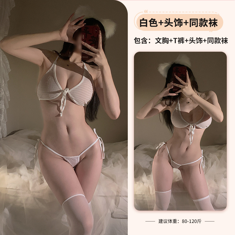 화이트+3032 화이트+3042 화이트