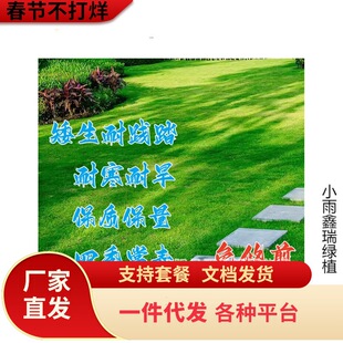 �M������̲�ƺ���Ѱ����ļ���N��߅�¹����ͺ��ͺ����`̤�ݷN��