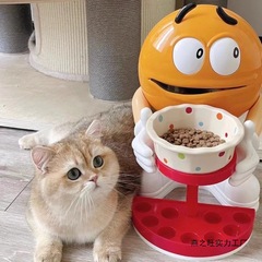 猫宠物用品陶瓷猫咪猫碗可爱宠物专用网红创意小狗家用室内用品狗