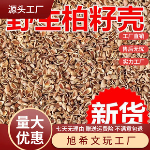 New Arrival of Cypress Seed Shell Pillow, Platycladus Seed Shell Pillow Core Filling, Pillowcase Liner, Pine and Cypress Shell Default Item Cotton