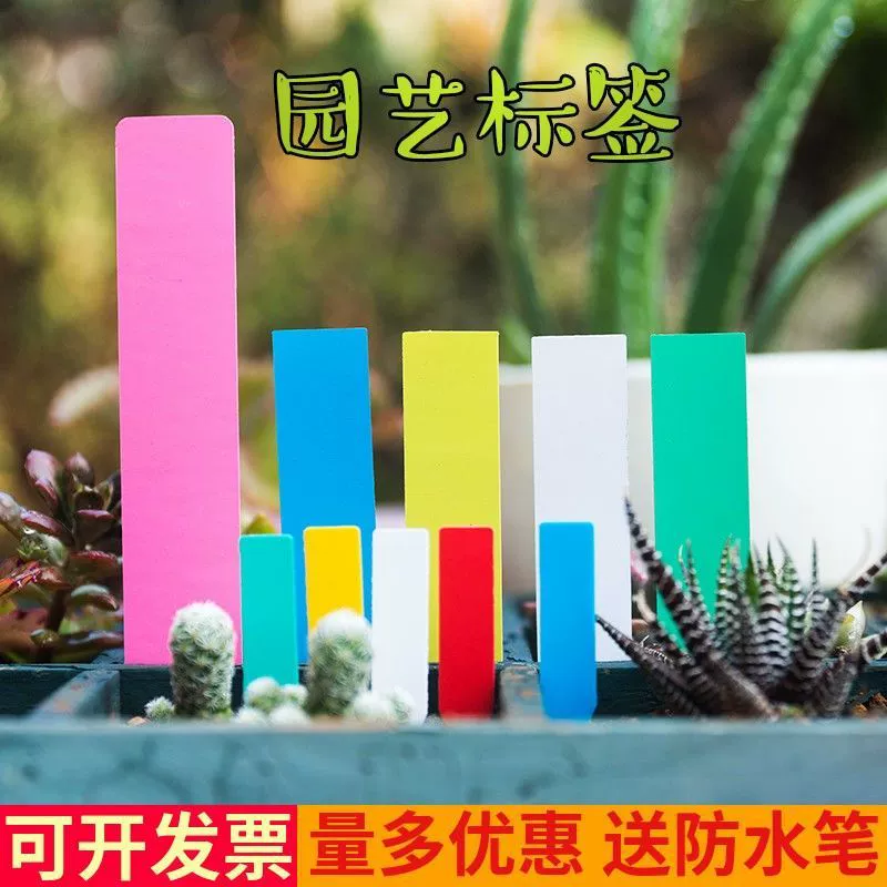 Водонепроницаемая садовая вставка, этикетка для растений, цветочная вывеска, одно слово, сочная и солнцезащитная вывеска, пластик, белый ПВХ