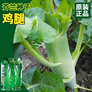 ��S�u������m�N�ӏS�����l�u�Ƚ��{�N���͟��ͺ����� �ˈ@