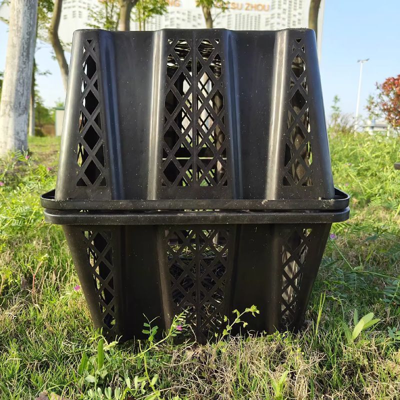 芒果厂家直销一次性筐手筐筐活禽水果筐鸽子带盖热卖筐水果篮子