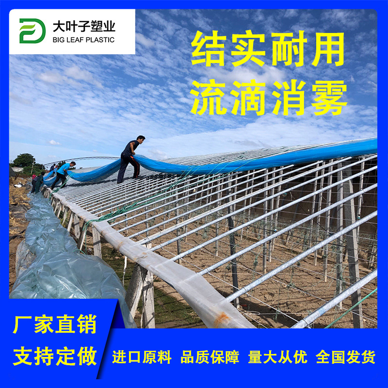 农用地膜防雾滴膜抗拉力EVA膜塑料布小拱棚长寿消雾流滴 淡蓝色膜
