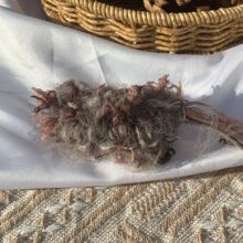 �ֻ쾀diy��ɫ�h��������ʽë���¿��������l