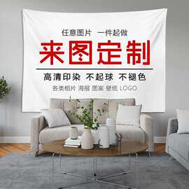 背景布网红主播墙布ins挂布房间装饰品挂毯装饰布挂毯背景布墙布