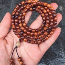 ���ں����S������Ů������������朶�������ֱ���g������S�����l