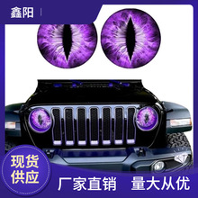 羳Beast Eyes Headlight Decals F܇NR܇N