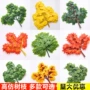 仿真叶子植物工程榕树