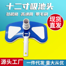 �S��ֱ�N��Ӿ���坍��Ʒ 12���{�������^������ �Ȼ��Ύ�ëˢ�坍