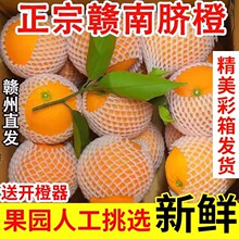 ���ڽ����M��Ě��10��a��ֱ�l���r����ˮ���ЋD���M����Ě����