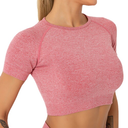 European and American sexy quick-drying thin seamless yoga wear short-sleeved tops women's tight-fitting sports running fitness yoga jacket