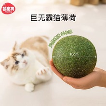؈�����؈������؈���ľ�쿊��������ë���؈��؈���X������Ʒ