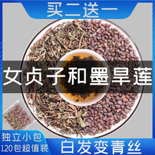 Ůؑ�Ӻ�ī��ɏ�Ĳ���M�Ϻ�ɏ��Ůؑ����ˮ�Ƕ���