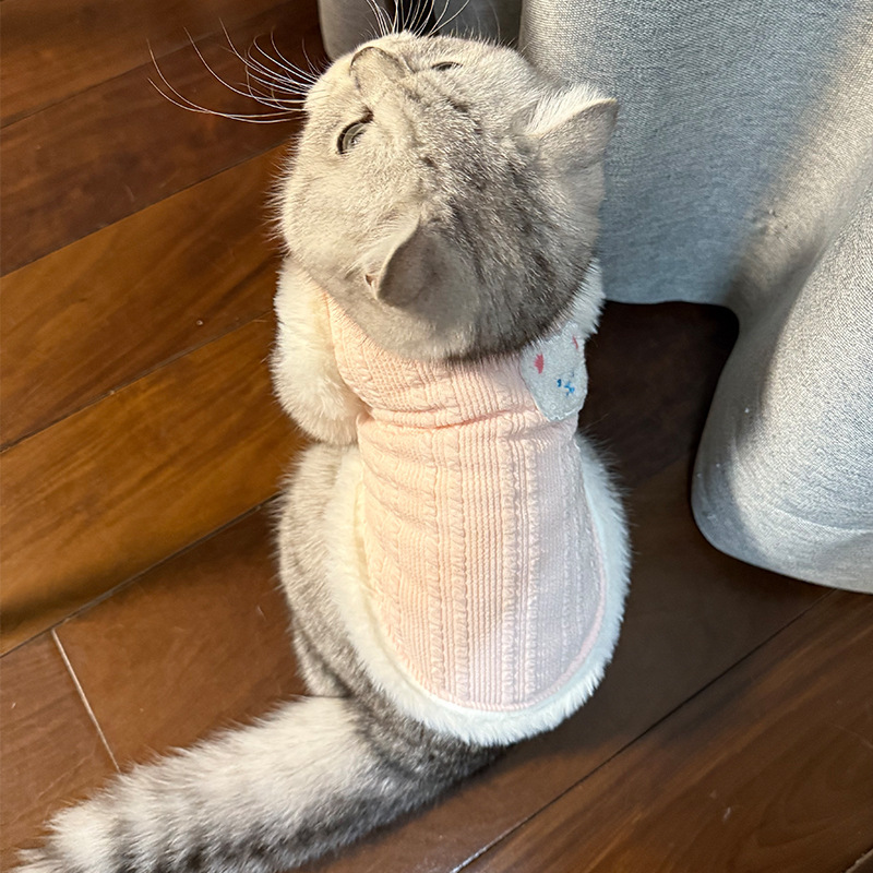 Otoño y invierno gatos estereoscópicos osos serpientes chaleco gato gato pequeño gato sin pelo ropa de peluquería de dos patas ropa de mascotas