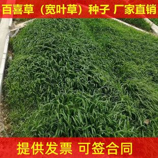 ���l�o�²��Ѱ�ϲ�݌��~�ݷN���ϱ��������o�²����͟��ͺ�