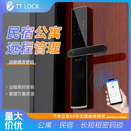 公寓锁通通锁TTLOCK家用指纹锁酒店欧式智能入户门锁电子密码锁
