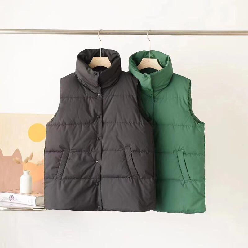 Matte Polyester Stand-Up Collar down Vest 2025 Autumn and Winter Loose Warm Vest Outerwear for Women Korean Style Thickened and Warm