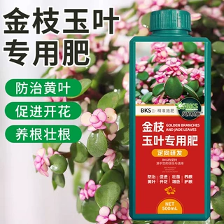 金枝玉叶专用肥防掉叶子花肥家用盆栽金枝玉叶通用营养液盆栽肥料