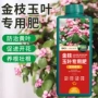 叶子盆栽家用专用肥营养液