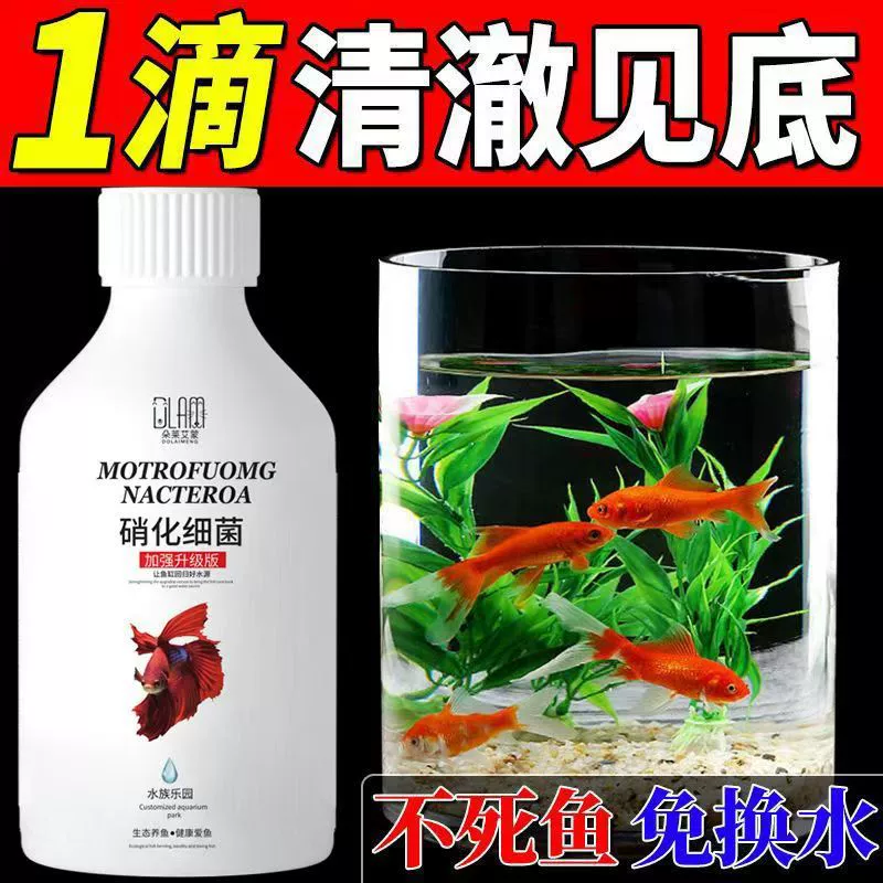 [Эксклюзивный] нитрифицирующие бактериальные водные агенты в аквариуме для удаления рыбного запаха
