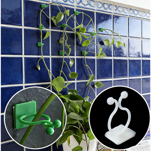 �G�}�̶�������ֲ��Gֲ�������������h늾��̶����������͹̶��A