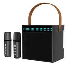 厂家直供YS203家庭KTV新款便携式智能LED灯双麦克风YS223蓝牙音箱