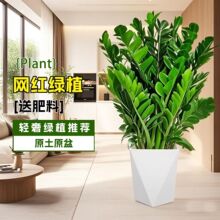 ���X�����԰lؔ��Gֲ�����՚⻨���҃ȾGֲ��͏d�k���������辰