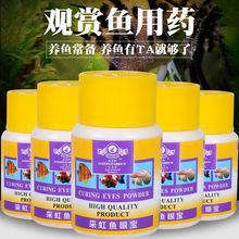 ��ɺ��~�ی�40�˽�ʺ��~�ی������~ș�^�p�~�����������۱��߲�