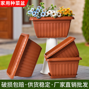 �N���������̨���üӴ�Ӻ��L���γ���̖�߲˷Nֲ�仨����Ø��