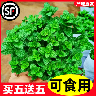 �������Կ�ʳ���҃�ˮ�����ֲ����虎�����m���Ե���Gֲ����B