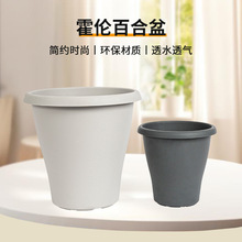 环球霍伦百合球根类种植塑料花盆庭院阳台仿水泥两色北欧风格植栽