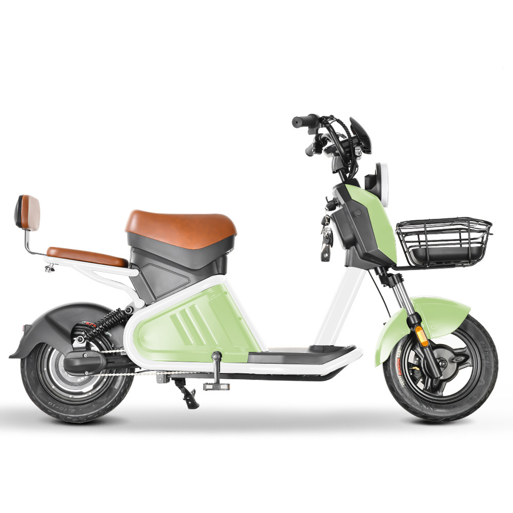 800W National Standard Adult Mobility Scooter Lithium Battery Vehicle Detachable Two-Wheeled Motorcycle Wd-2 Electric Vehicle Lithium Battery