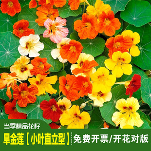 ��Ʒ����ɏ�N�Ѻ��ɻ��ѽ��Xɏ�N�Ӵ��������҃��̨������ͥԺ