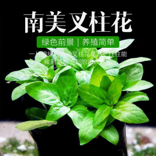 [ˮ���l]ǰ��ˮ�� ���| �������������� �������~�� �~���쾰���]