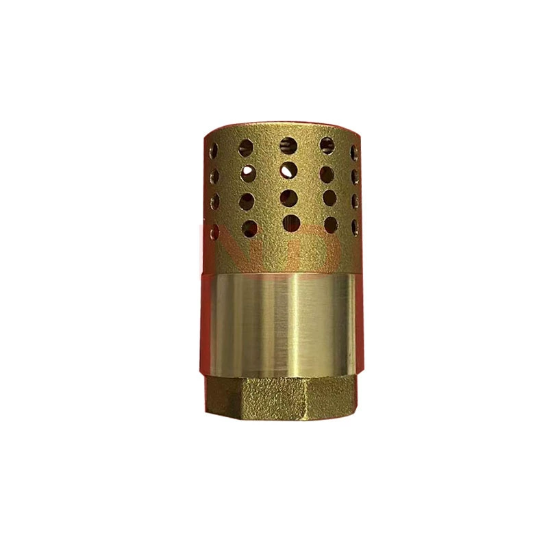 Кнопка щит клапан латунный вертикальный обратный клапан хорошо нижний клапан обратный клапан пружина 304 DN25 1 дюйм