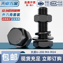 12.9级外六角螺丝螺母套装大全组合螺杆高强度合金钢螺栓M6M8-M24