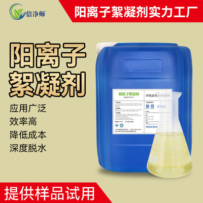 阳离子絮凝剂 市政含油污泥脱水处理泥浆沉淀 阳离子型污泥调理剂